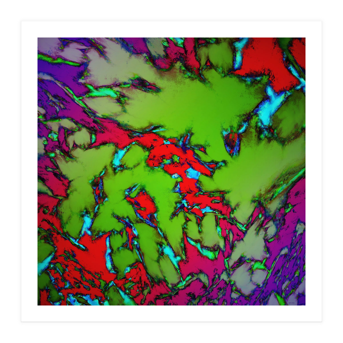 Enclosed Gardens (Print Only)