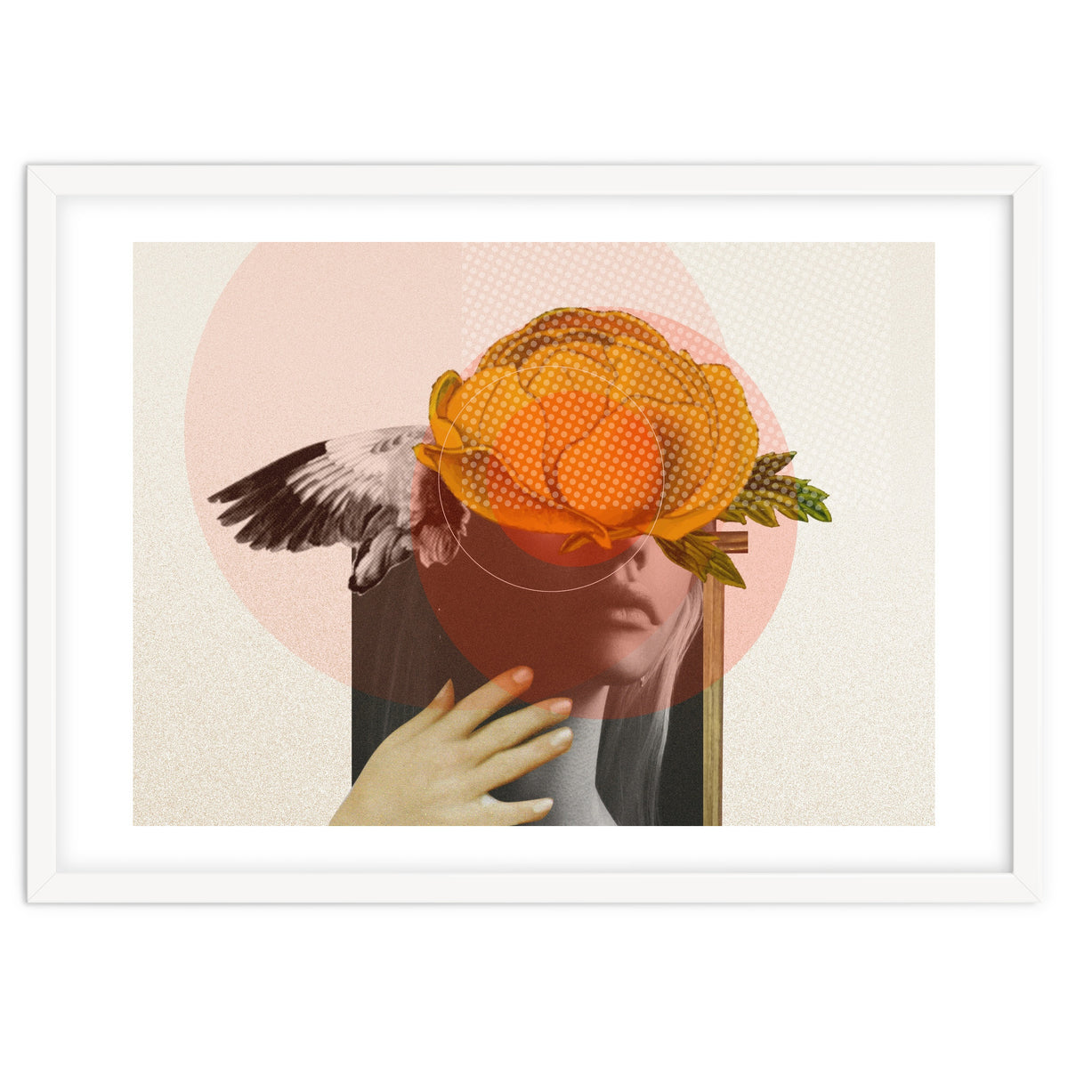 Dreamland Division · C