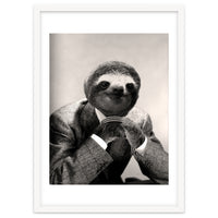 Gentleman Sloth 3