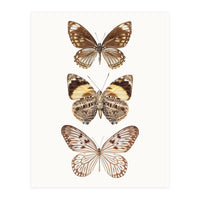Cc Butterflies 06 (Print Only)