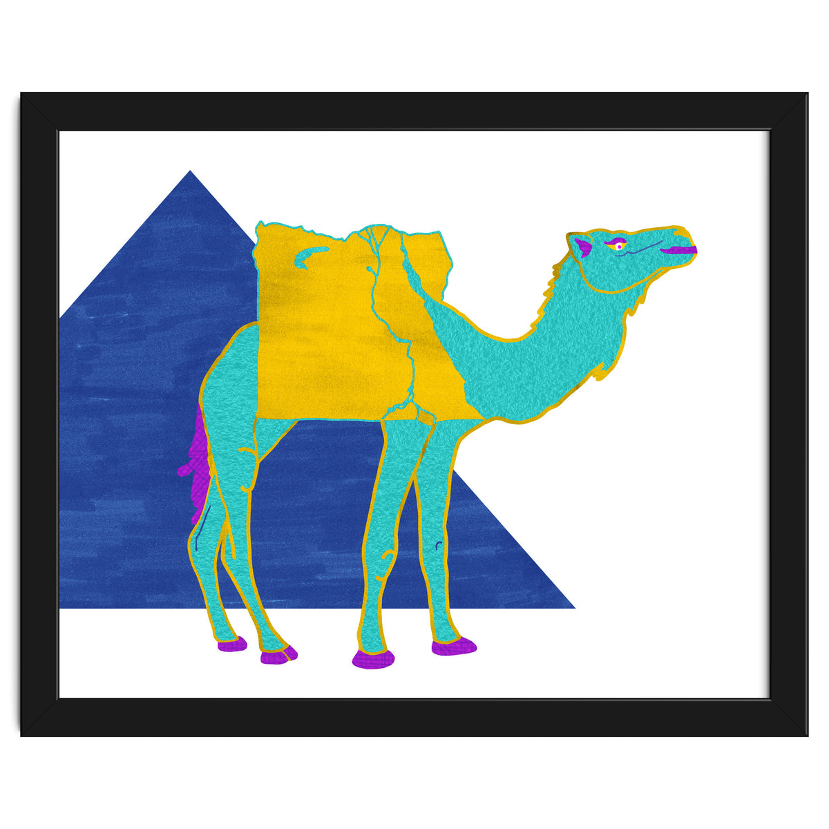Egyptian Dromedary