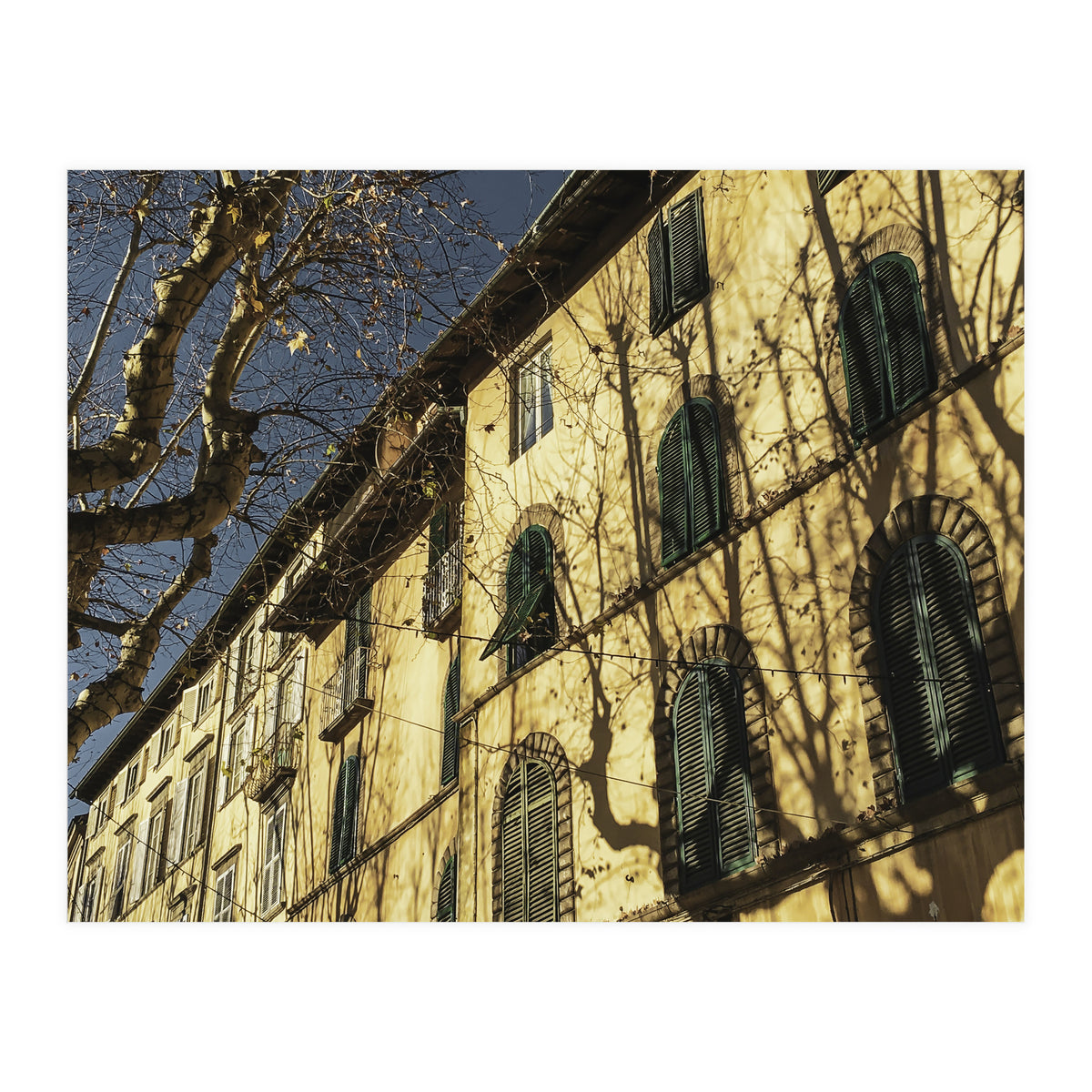 Windows From Tuscany 3 (Print Only)