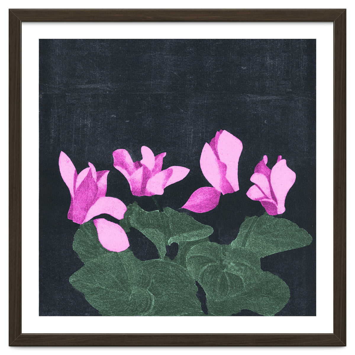 Cyclamen