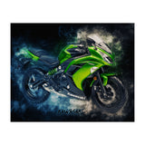 Kawasaki Ninja 2 (Print Only) thumbnail