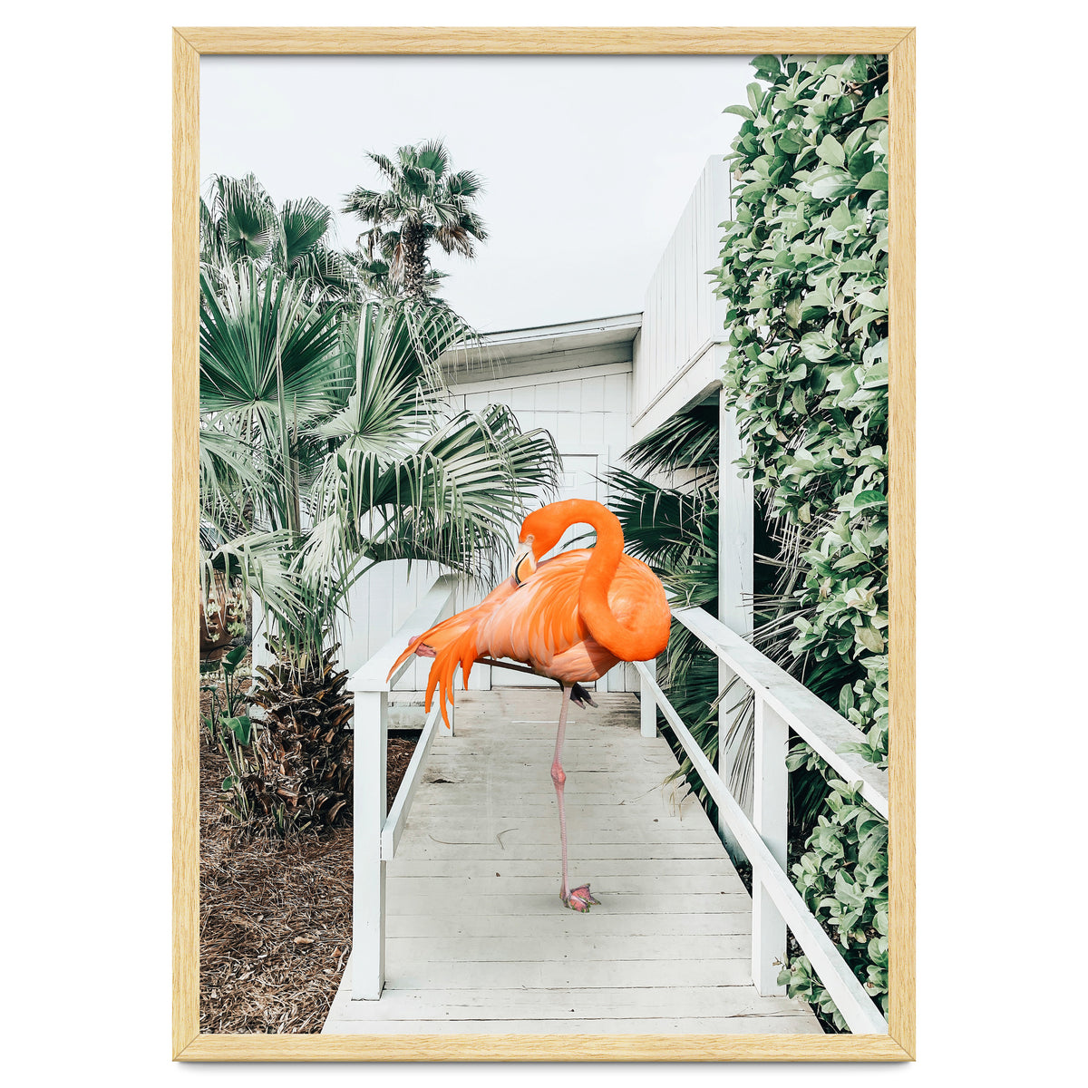 Flamingo Beach House