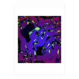 The Opening Light (Print Only) thumbnail