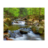 Spring At Harz Moutain (Print Only) thumbnail