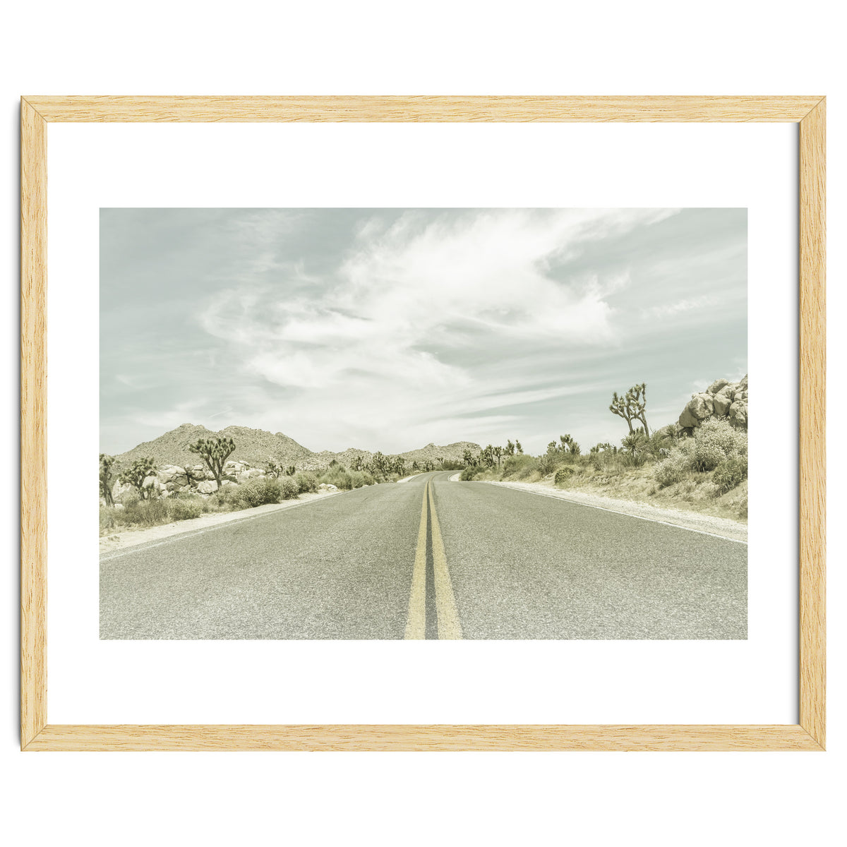 Joshua Trees, Park Boulevard | Vintage