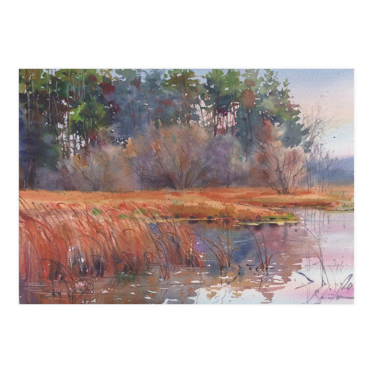 The Force Awakens (Print Only)