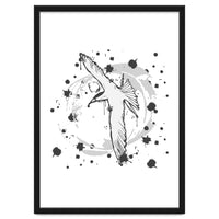Fairy Tern Sketch