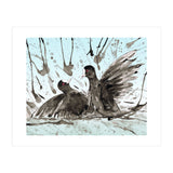 Fighting coots (Print Only) thumbnail
