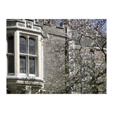 Inner Temple Gardens (Print Only) thumbnail