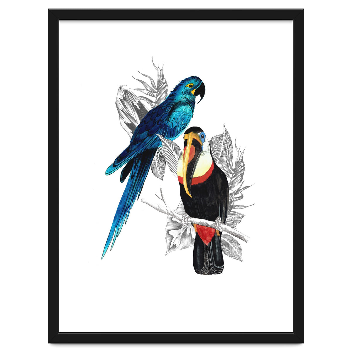 The Toucan and the Parrot
