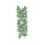 Apollo Garden (Print Only) thumbnail