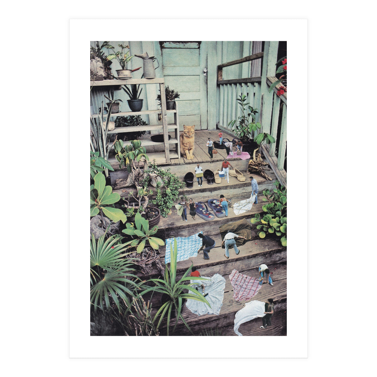 Big Cat (Print Only)