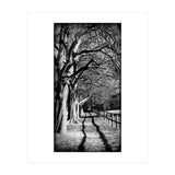 Light and shadows (Print Only) thumbnail