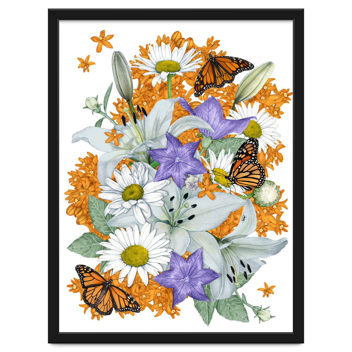 Lillies and Monarchs