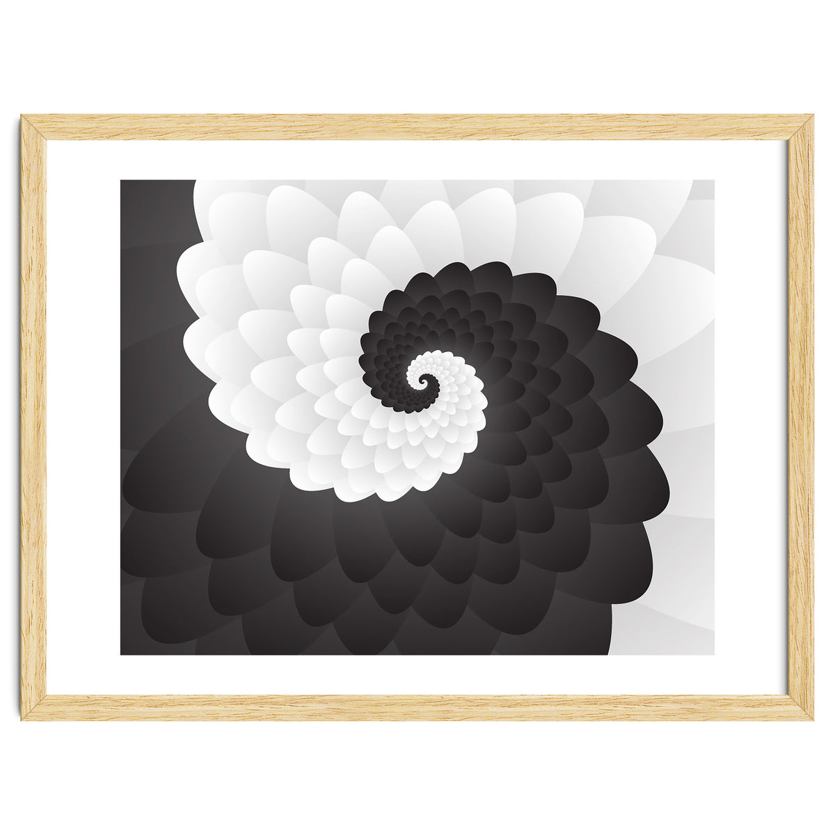 Mono Chrome Spiral Pattern