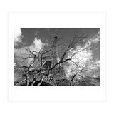 Eiffel Tower, Paris (Print Only) thumbnail