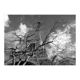 Eiffel Tower, Paris (Print Only) thumbnail
