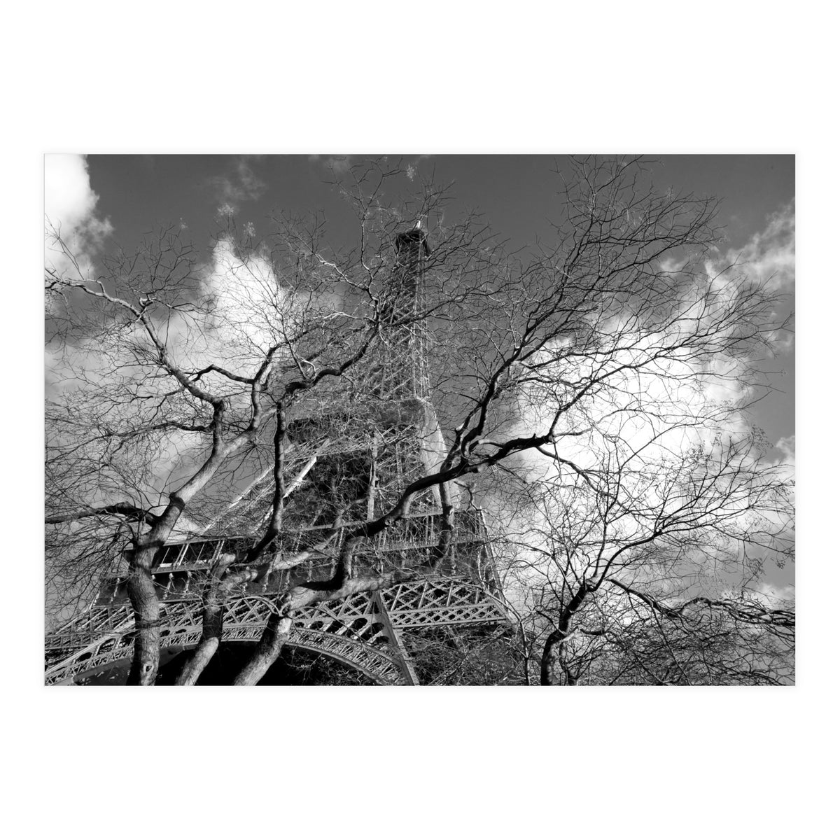 Eiffel Tower, Paris (Print Only)