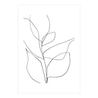 Plant Line Drawing (Print Only)