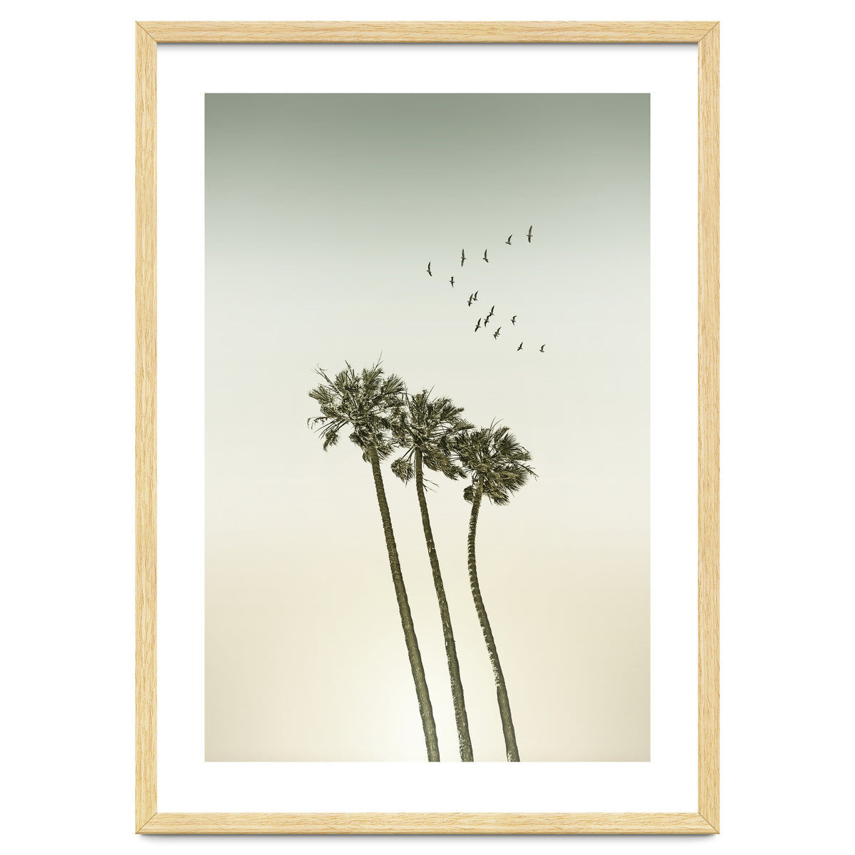 Vintage palm trees at sunset