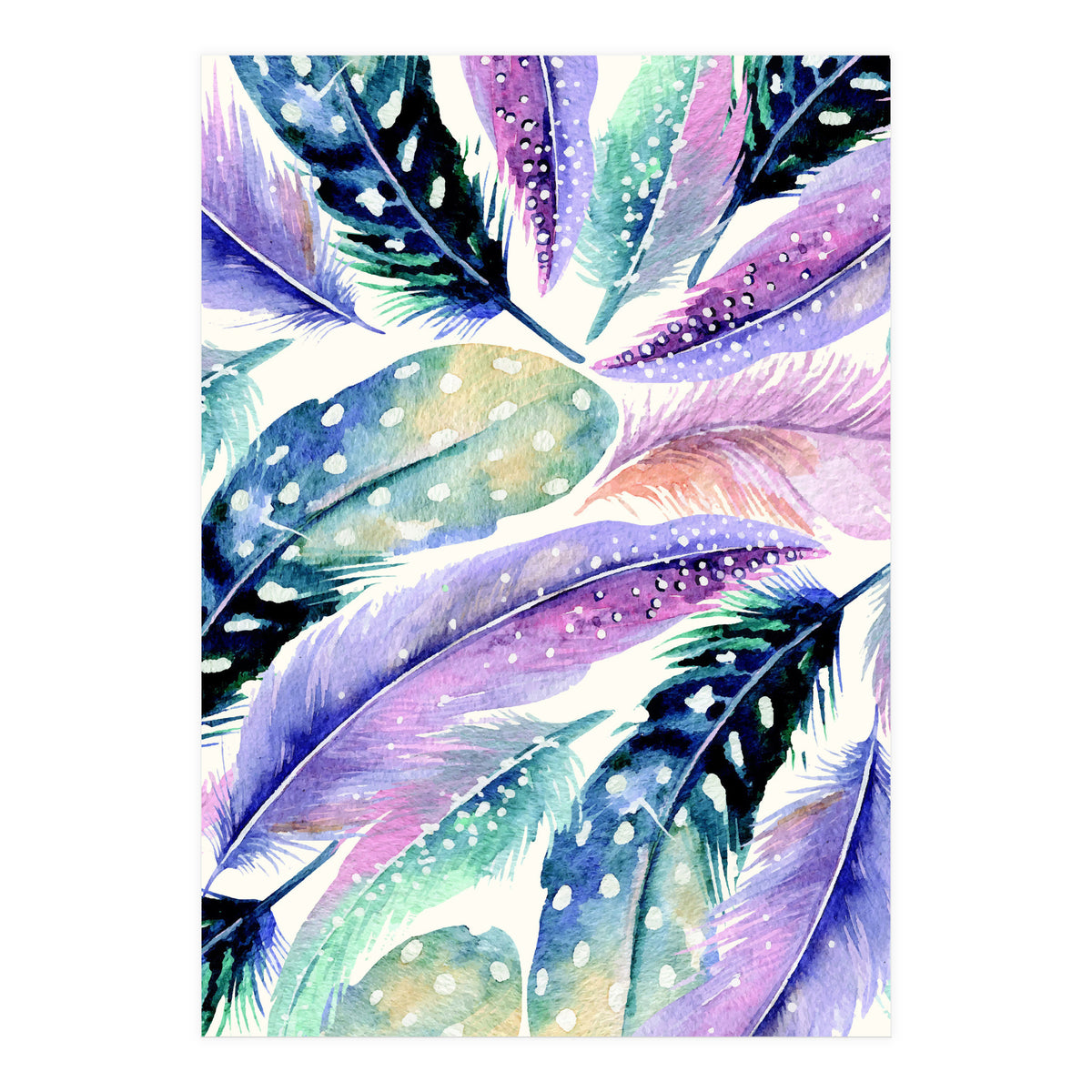 Wild Feathers (Print Only)
