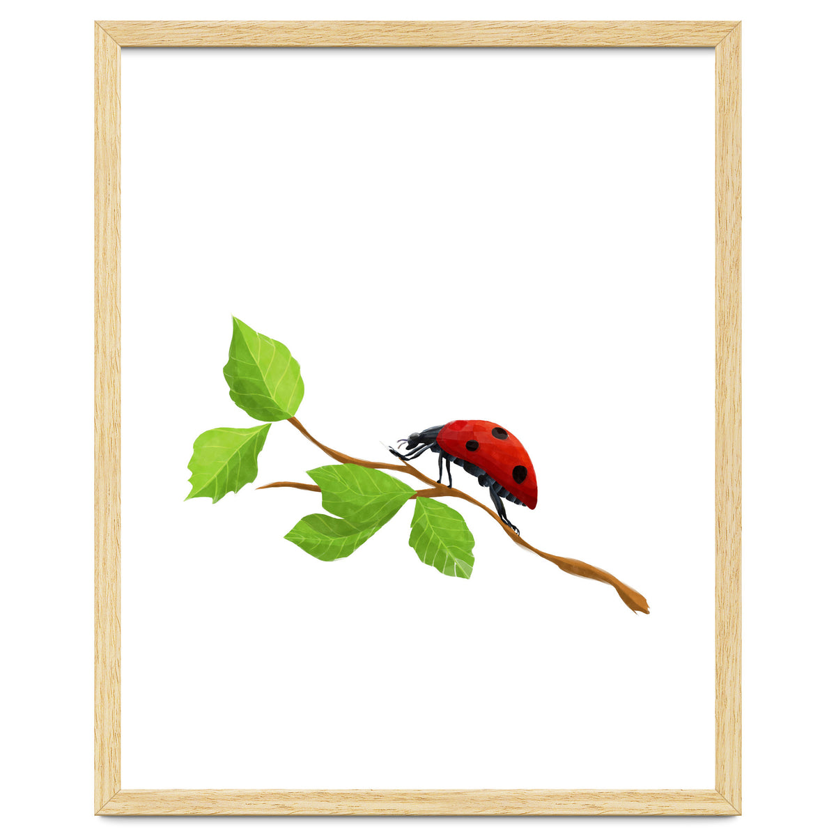 Ladybug