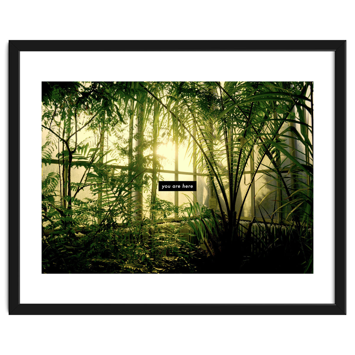 you are here - Nature Photography -