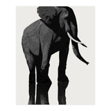 Elephant (Print Only) thumbnail