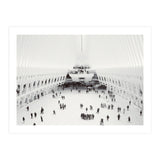 Oculus (Print Only) thumbnail