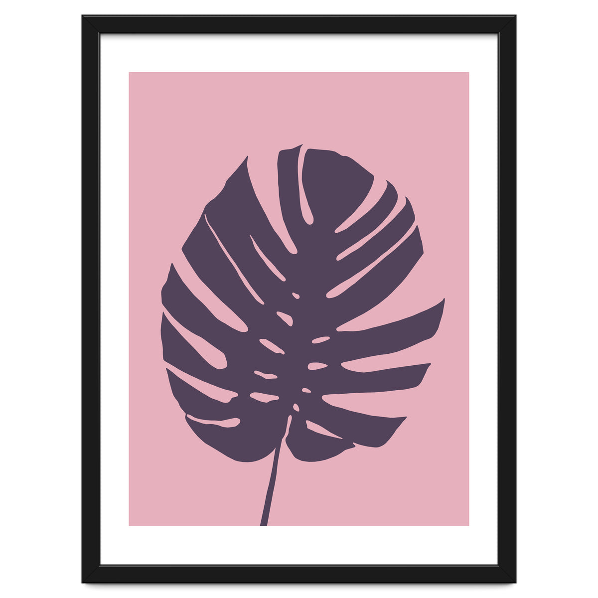 Monstera Deliciosa III