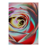 Rose (Print Only) thumbnail