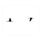 Crane(s) II (Print Only) thumbnail