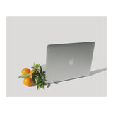 Fruit Salad (Print Only) thumbnail