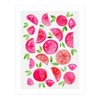 Watercolor Grapefruit (Print Only)