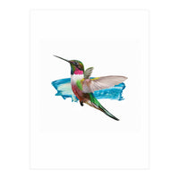 Modern Hummingbird II (Print Only)