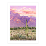 Cactus Sunset (Print Only) thumbnail