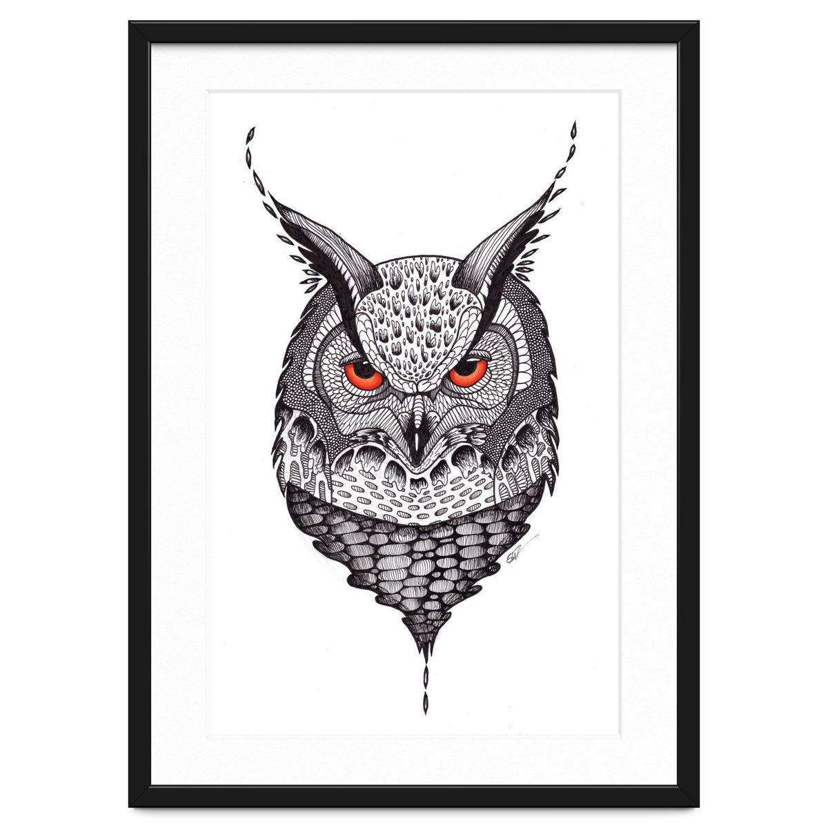 Owl