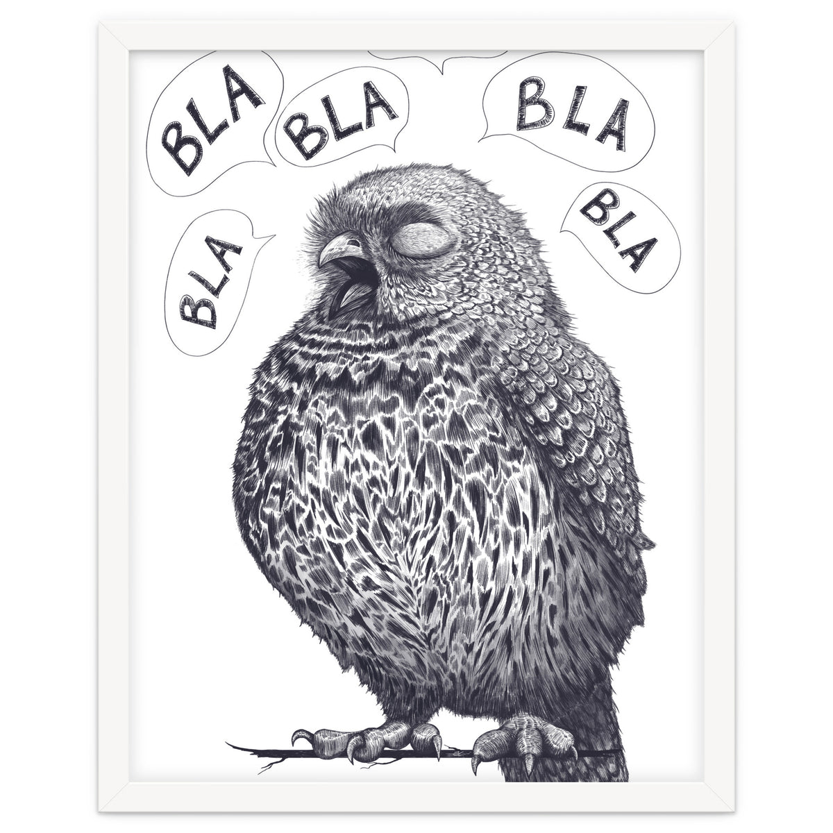 Owl Bla Bla Bla