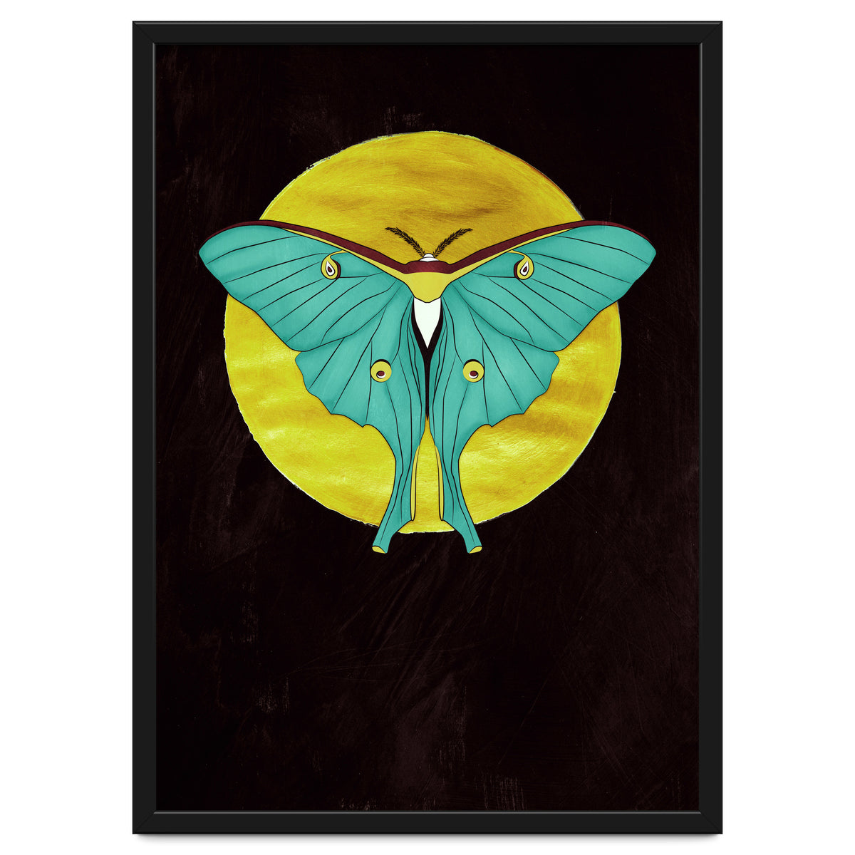 Luna Moth Moon