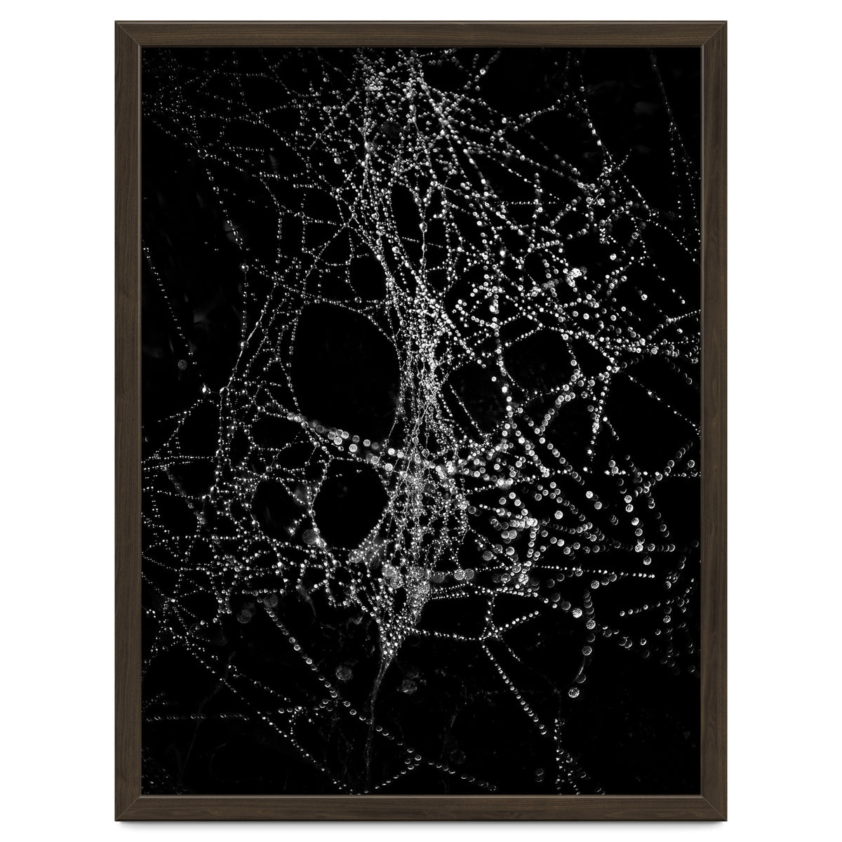 Spiderweb No 4