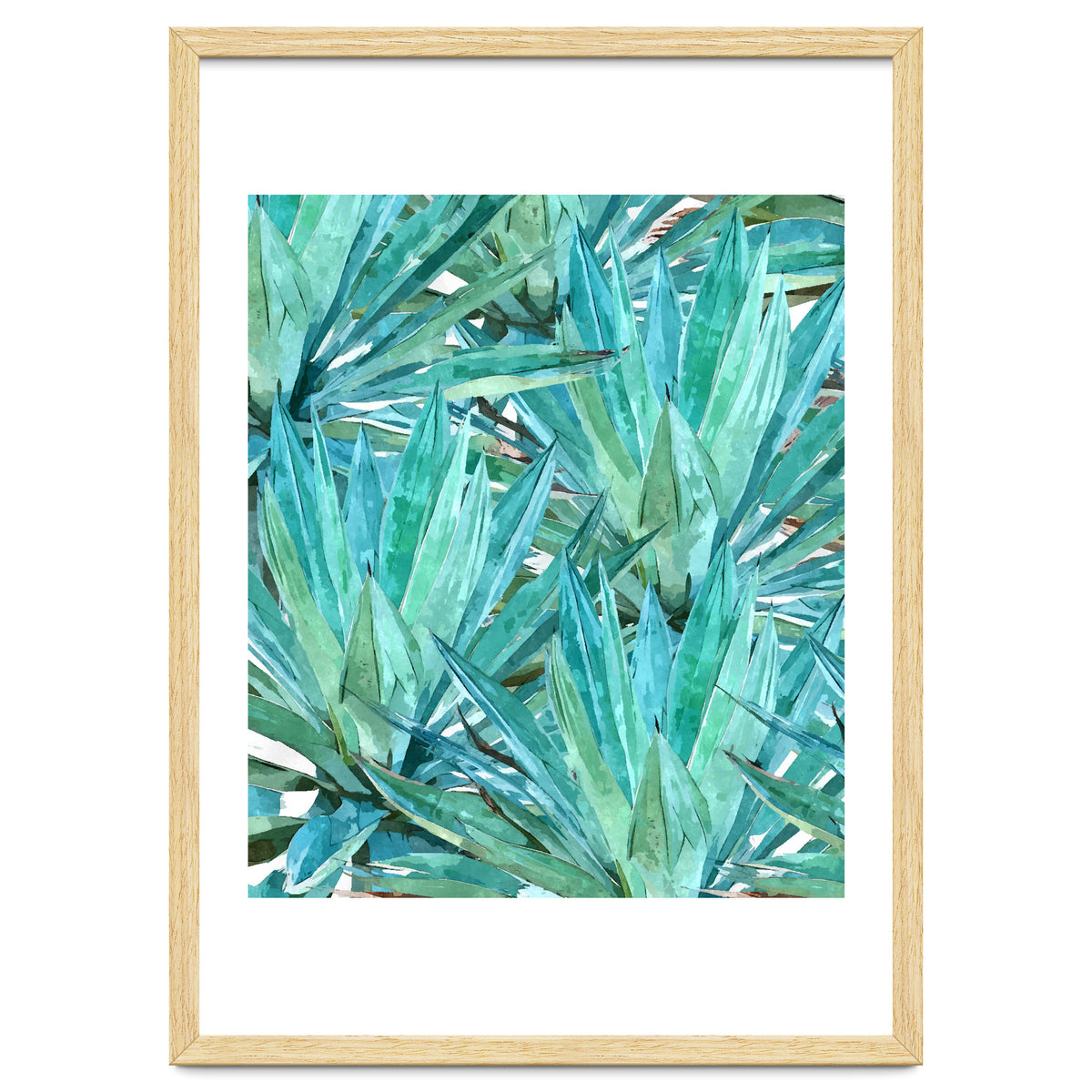 Agave