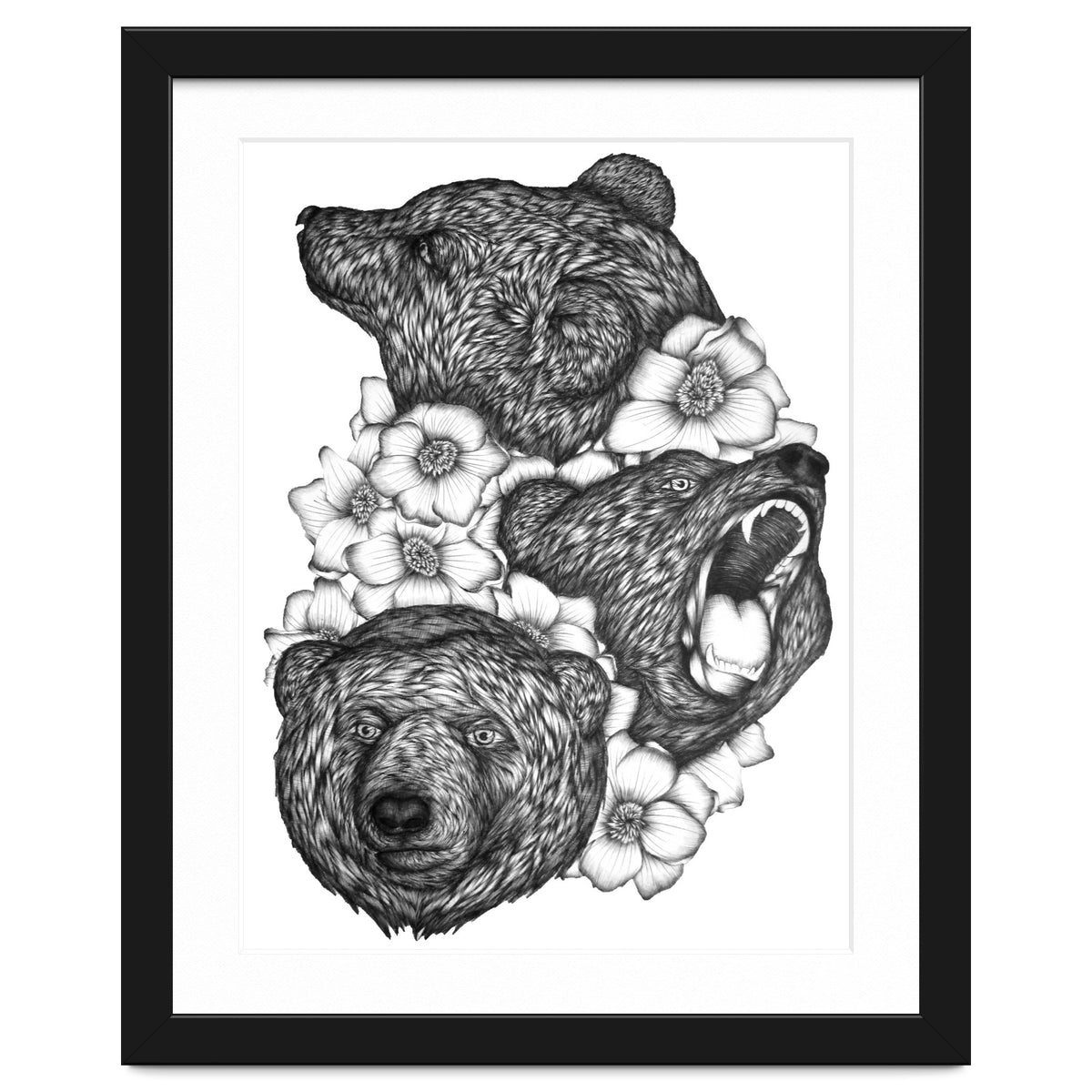 Bears In Bears