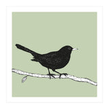 Blackbird pen drawing (Print Only) thumbnail
