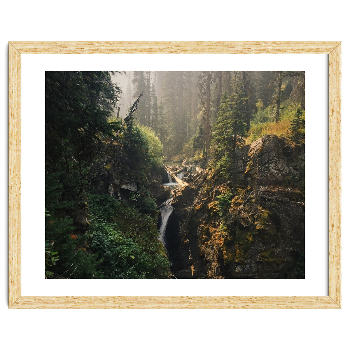 Glacier National Park I