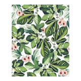 Fig Garden (Print Only) thumbnail