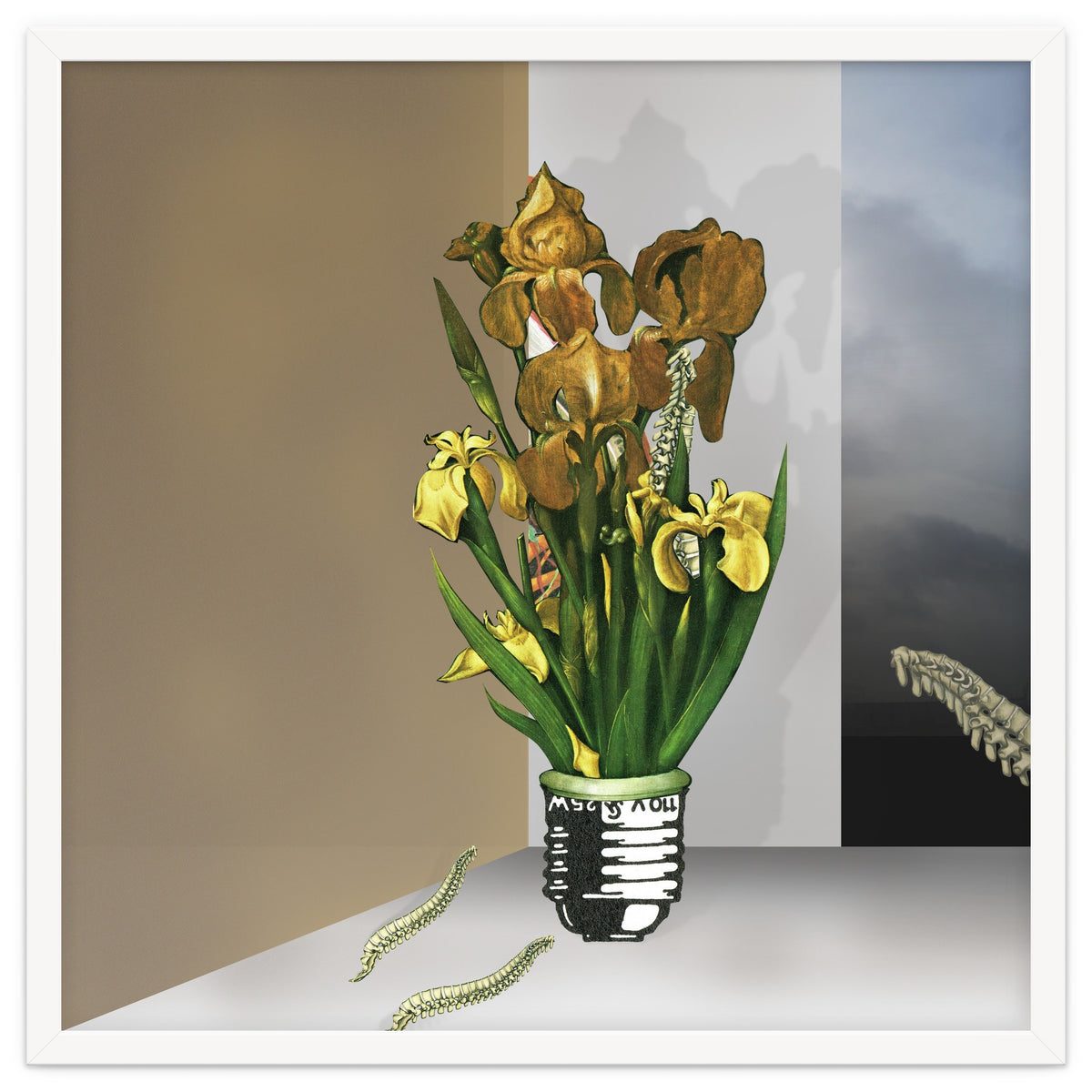 Das Licht Der Pflanze