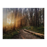 The Wood Line I (Print Only) thumbnail
